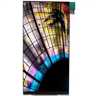 5,99 colio LCD ekranas