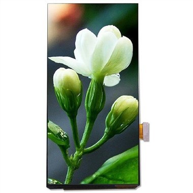 6,01 colio LCD ekranas